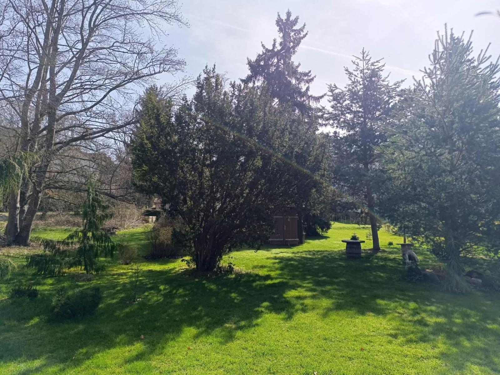 Waldblick Apartment *