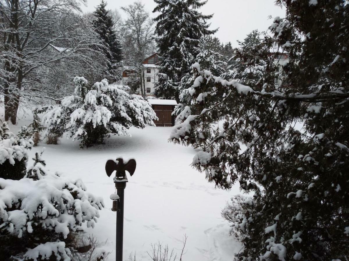 Waldblick Apartment Bad Duerrheim